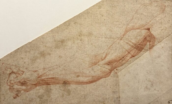 Clemente Bandinelli, Studio anatomico di un braccio e mano