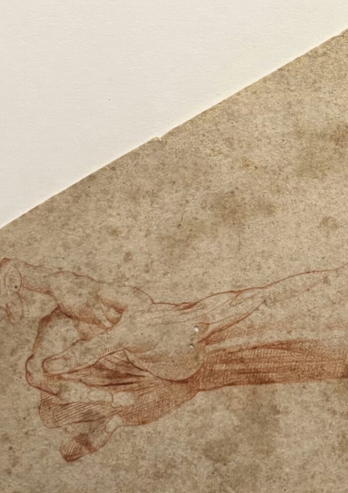 Clemente Bandinelli, Studio anatomico di un braccio e mano