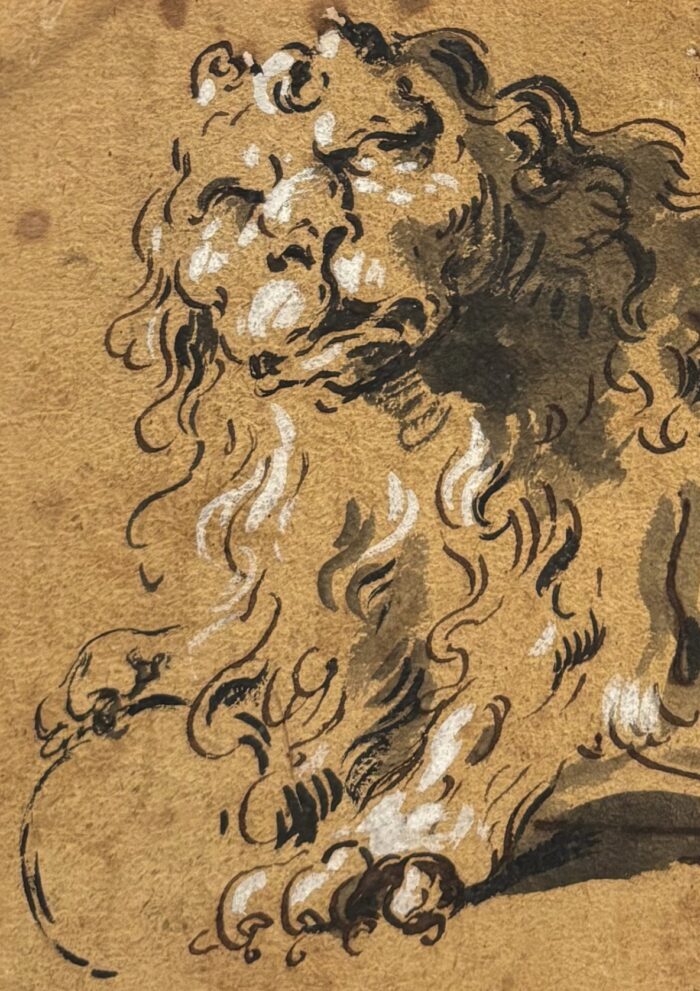 Pietro Antonio Novelli, Leone