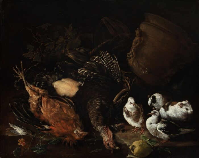 Domenico Guidobono, Still Life with Farmyard Animals, Guinea Pigs, and Pigeons